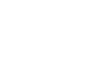 A L Ventures A L Ventures