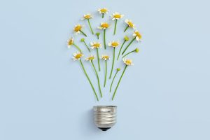 Accel Electric And Lighting Llc Accel Electric And Lighting Llc