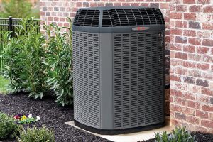 Accel Electric And Lighting Llc Accel Electric And Lighting Llc