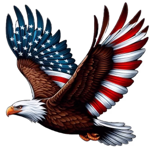 American Kitchen Experts LLC