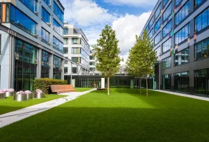 Bare Roots Landscape Solutions