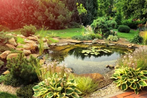 Bare Roots Landscape Solutions