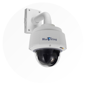 Blue Wing Surveillance