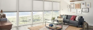 Bumble Bee Blinds of Buckhead Three Bees Enterprises LLC