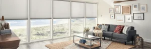 Bumble Bee Blinds of Buckhead Three Bees Enterprises LLC