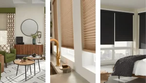 Bumble Bee Blinds of Buckhead Three Bees Enterprises LLC