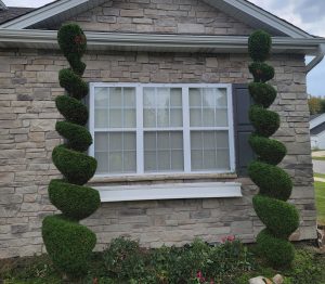 C & L Lawncare