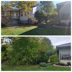 C & L Lawncare