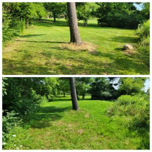C & L Lawncare