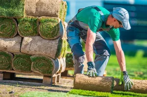 C & L Lawncare