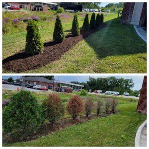 C & L Lawncare