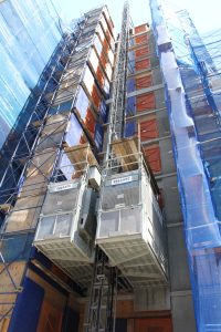 Colgate Scaffold