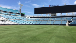 DBA Laserturf Southeast Turfmark South, Inc.