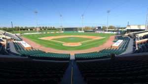 DBA Laserturf Southeast Turfmark South, Inc.