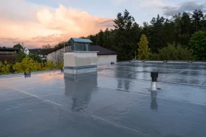 Delta Roofing Inc