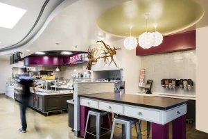Demmon Design Studios, Inc.