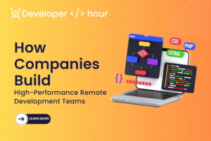 Developer Per Hour