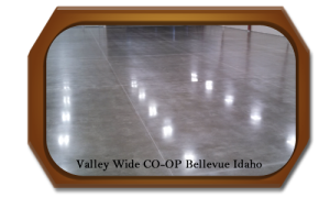 Diamond Concrete Polishing