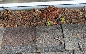 DLV Roofing DLV Roofing and Exteriors
