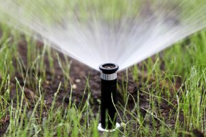 Double J Lawncare Plus, LLC