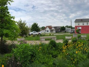 Eco Logic LLC