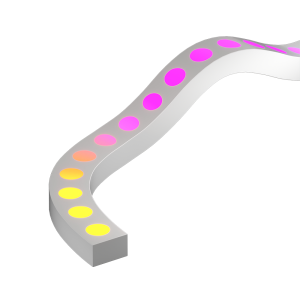 ESS