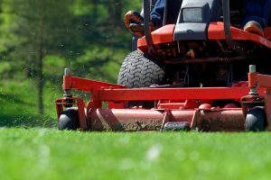 Green Magic Landscape LLC Green Magic Landscape LLC