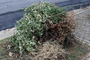 Green Magic Landscape LLC Green Magic Landscape LLC