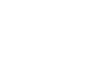 HMT LLC