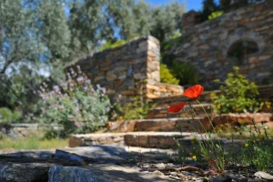Infinity Landscaping Design