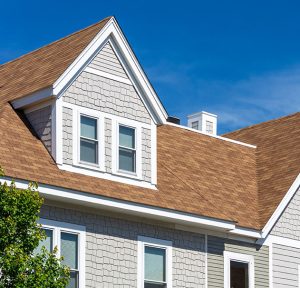 Laguna Siding Limited Liability Company Laguna Siding Limited Liability Company