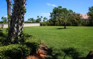 Landscaping and Irrigation Contractor Evolve Contracting Inc.