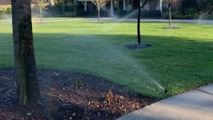 Landscaping and Irrigation Contractor Evolve Contracting Inc.