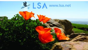 LSA Associates, Inc.