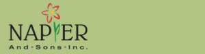 Napier and Sons, Inc. Napier and Sons, Inc.