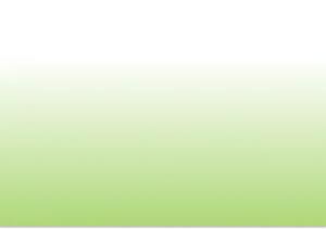 Nucor Environmental Solutions LTD