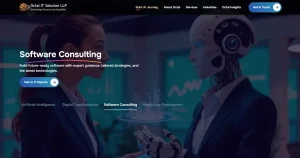 Octal IT Solution