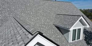 Pinnacle Roofs Plus llc