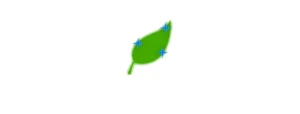 Premier Group DBA Clean Green