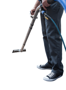 Pureclean Carpets