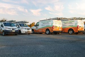 Ross Environmental Solutions, Inc.