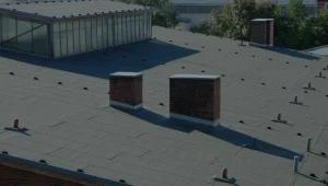 Sunbelt Roofs