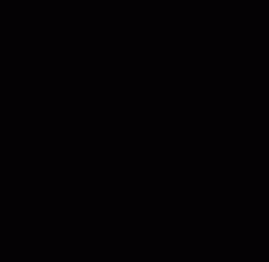 TechZone Networks, Inc.
