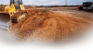 Timber Wolf Land Clearing