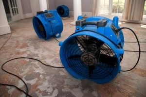 Treasure State Restoration