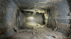 Treasure State Restoration