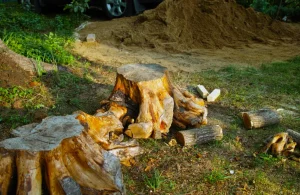 Tree Service KD Tree Service Rochester NY