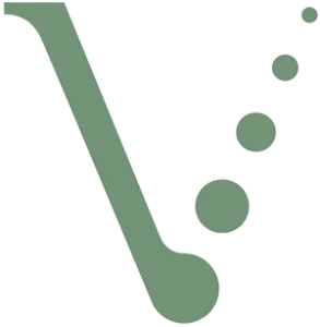 Vantage Technology Consulting Group