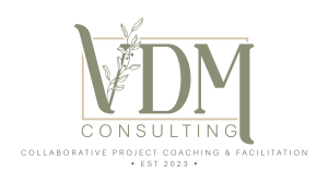VDM Consulting