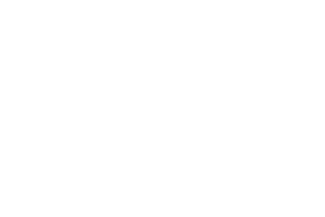 Viewpoint LLC